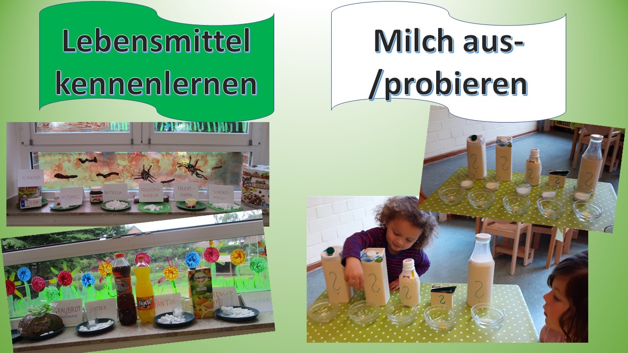 eijd_Lebensmittel kennenlernen & ausprobieren.JPG